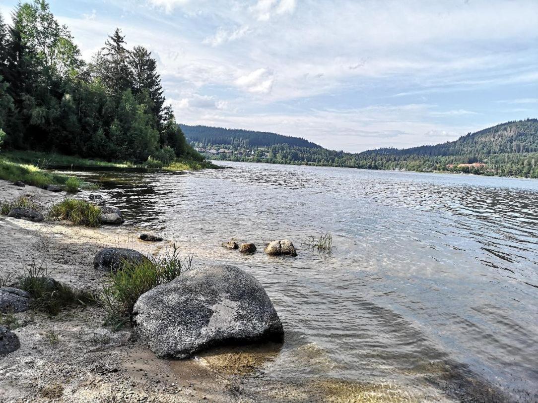 C1 Albmatte-Fewo Sauna, Hallenbad Aussenbecken Massagen Nebenan Menzenschwand-Hinterdorf Екстериор снимка