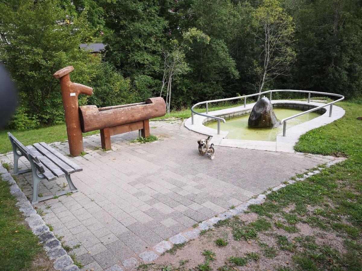 C1 Albmatte-Fewo Sauna, Hallenbad Aussenbecken Massagen Nebenan Menzenschwand-Hinterdorf Екстериор снимка