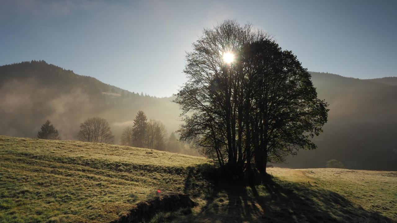 C1 Albmatte-Fewo Sauna, Hallenbad Aussenbecken Massagen Nebenan Menzenschwand-Hinterdorf Екстериор снимка