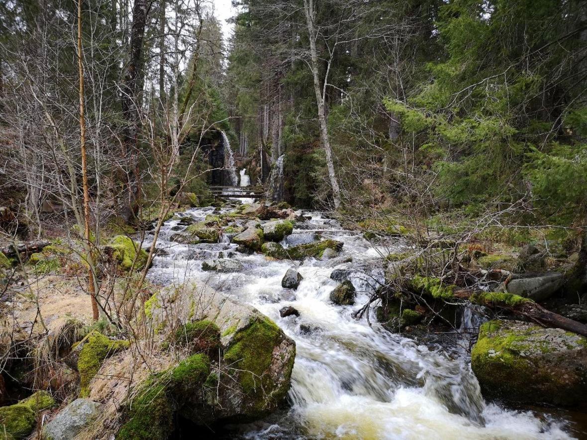 C1 Albmatte-Fewo Sauna, Hallenbad Aussenbecken Massagen Nebenan Menzenschwand-Hinterdorf Екстериор снимка