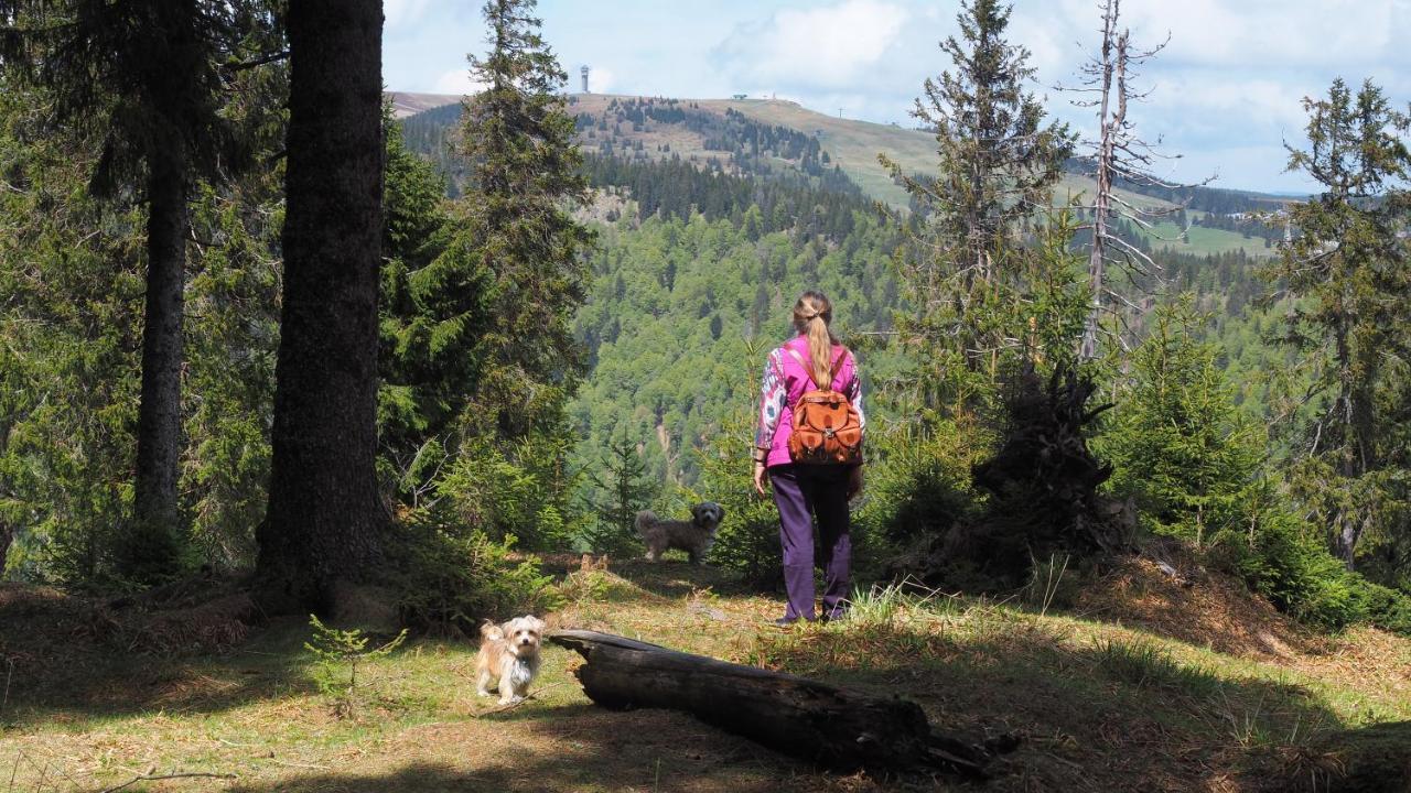 C1 Albmatte-Fewo Sauna, Hallenbad Aussenbecken Massagen Nebenan Menzenschwand-Hinterdorf Екстериор снимка