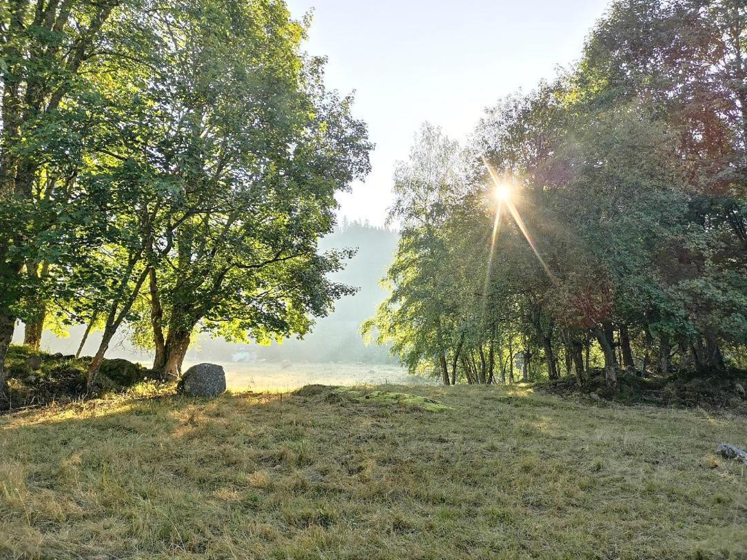 C1 Albmatte-Fewo Sauna, Hallenbad Aussenbecken Massagen Nebenan Menzenschwand-Hinterdorf Екстериор снимка