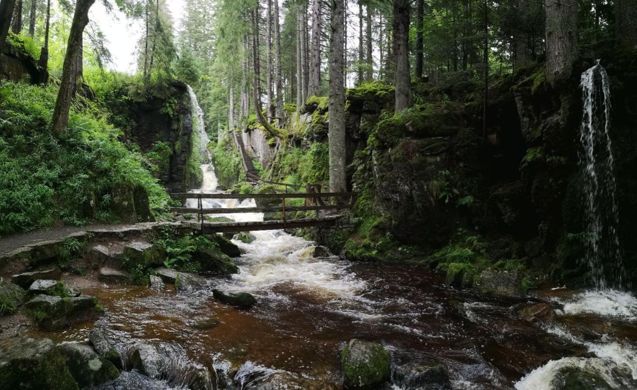 C1 Albmatte-Fewo Sauna, Hallenbad Aussenbecken Massagen Nebenan Menzenschwand-Hinterdorf Екстериор снимка