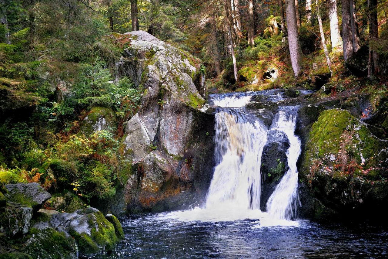 C1 Albmatte-Fewo Sauna, Hallenbad Aussenbecken Massagen Nebenan Menzenschwand-Hinterdorf Екстериор снимка