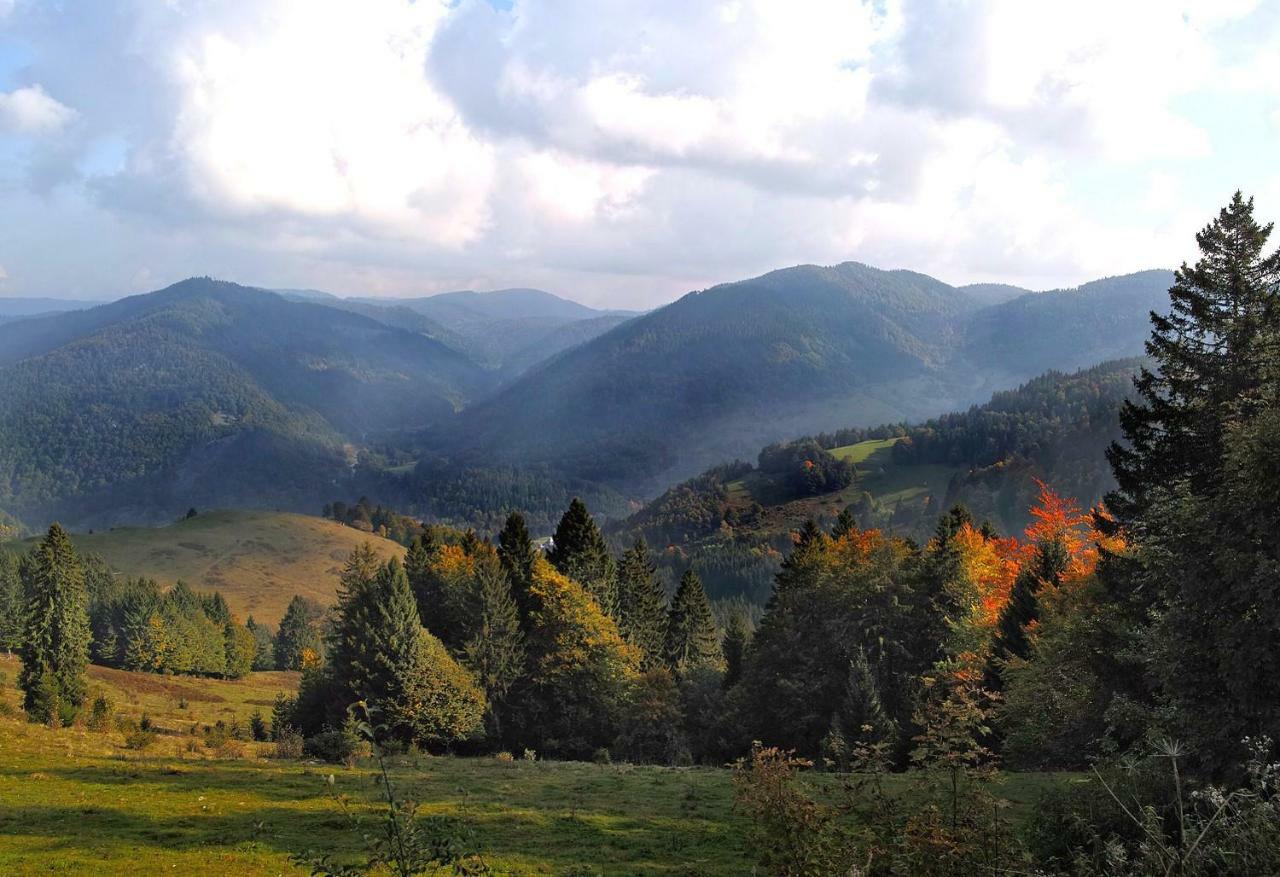 C1 Albmatte-Fewo Sauna, Hallenbad Aussenbecken Massagen Nebenan Menzenschwand-Hinterdorf Екстериор снимка