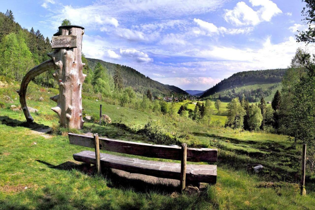 C1 Albmatte-Fewo Sauna, Hallenbad Aussenbecken Massagen Nebenan Menzenschwand-Hinterdorf Екстериор снимка