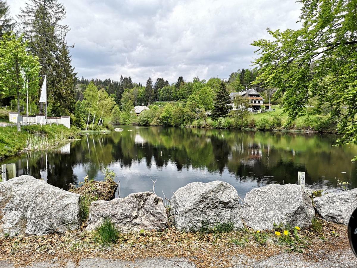 C1 Albmatte-Fewo Sauna, Hallenbad Aussenbecken Massagen Nebenan Menzenschwand-Hinterdorf Екстериор снимка